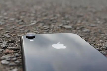 Pelican Casino Application mobile